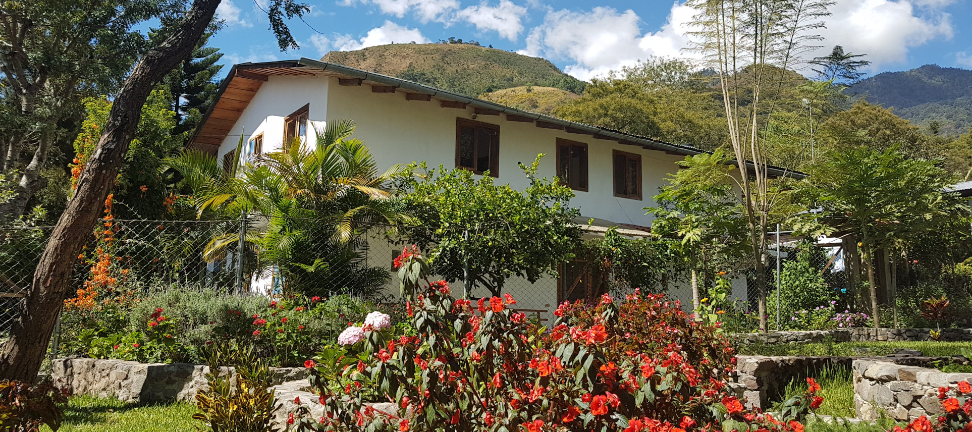 clinicas-maya-header1
